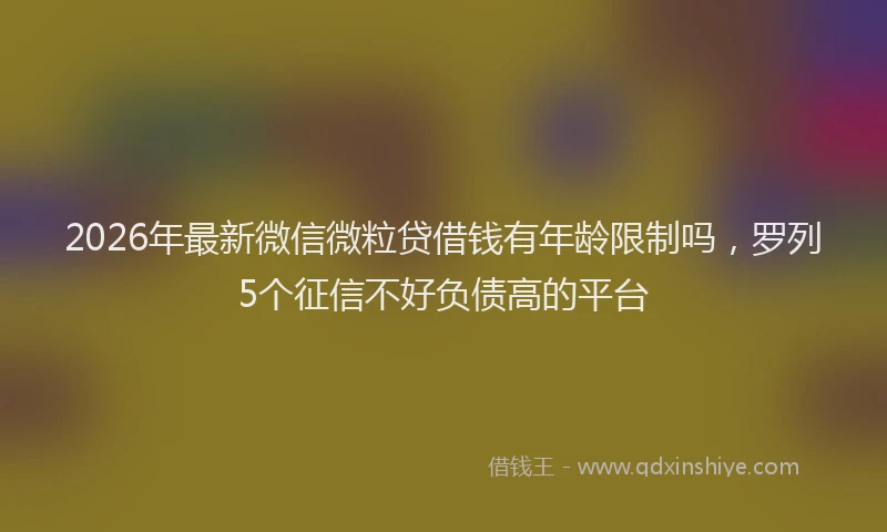 2026年最新微信微粒贷借钱有年龄限制吗，罗列5个征信不好负债高的平台