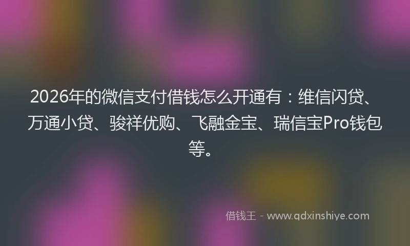 2026年的微信支付借钱怎么开通有：维信闪贷、万通小贷、骏祥优购、飞融金宝、瑞信宝Pro钱包等。