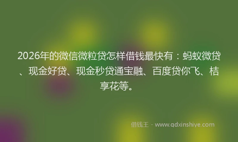 2026年的微信微粒贷怎样借钱最快有：蚂蚁微贷、现金好贷、现金秒贷通宝融、百度贷你飞、桔享花等。