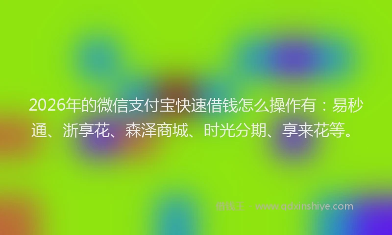 2026年的微信支付宝快速借钱怎么操作有：易秒通、浙享花、森泽商城、时光分期、享来花等。