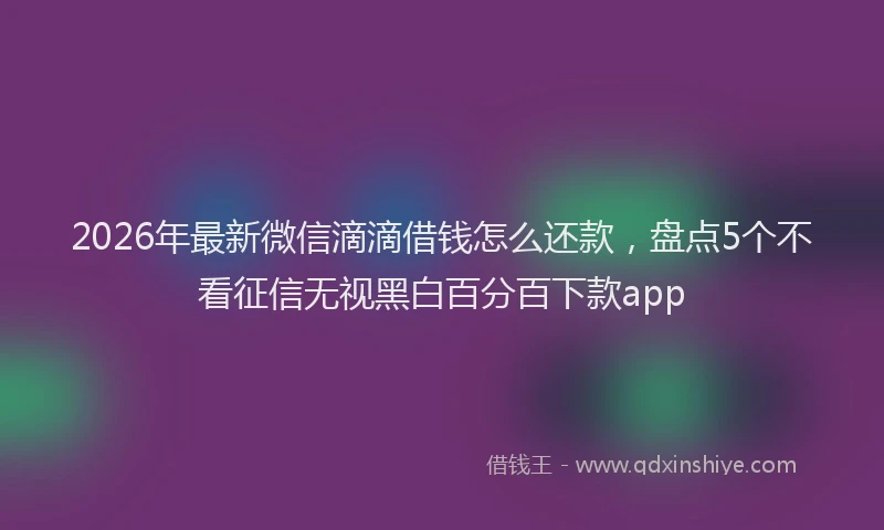2026年最新微信滴滴借钱怎么还款，盘点5个不看征信无视黑白百分百下款app