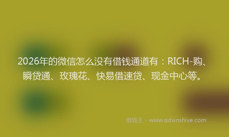 2026年的微信怎么没有借钱通道有：RICH-购、瞬贷通、玫瑰花、快易借速贷、现金中心等。