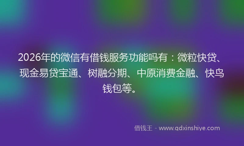 2026年的微信有借钱服务功能吗有：微粒快贷、现金易贷宝通、树融分期、中原消费金融、快鸟钱包等。
