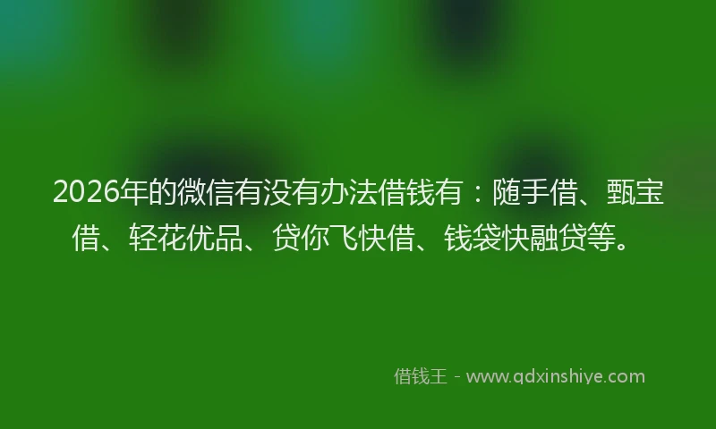 2026年的微信有没有办法借钱有：随手借、甄宝借、轻花优品、贷你飞快借、钱袋快融贷等。