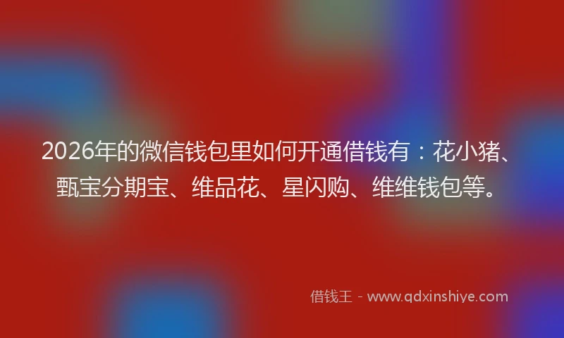 2026年的微信钱包里如何开通借钱有：花小猪、甄宝分期宝、维品花、星闪购、维维钱包等。
