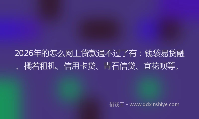 2026年的怎么网上贷款通不过了有：钱袋易贷融、橘若租机、信用卡贷、青石信贷、宜花呗等。