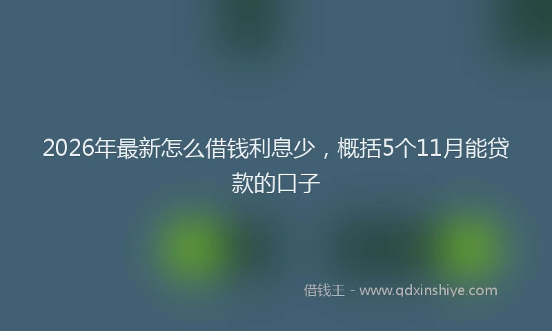 2026年最新怎么借钱利息少，概括5个11月能贷款的口子