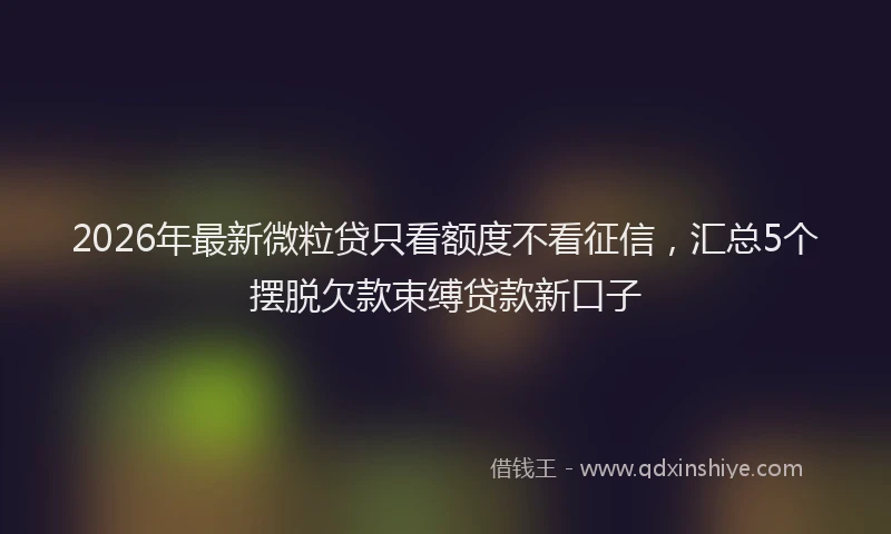 2026年最新微粒贷只看额度不看征信，汇总5个摆脱欠款束缚贷款新口子