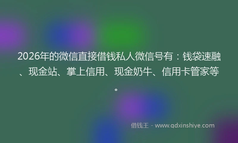 2026年的微信直接借钱私人微信号有：钱袋速融、现金站、掌上信用、现金奶牛、信用卡管家等。