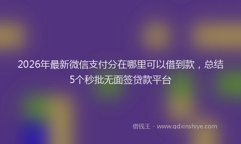 2026年最新微信支付分在哪里可以借到款，总结5个秒批无面签贷款平台