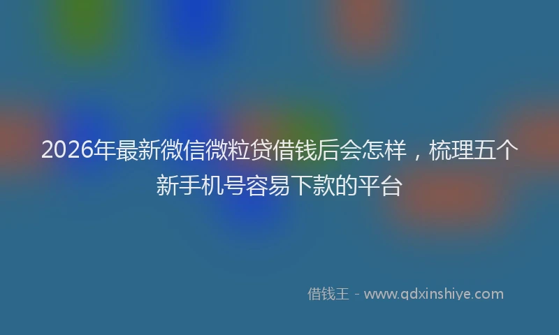 2026年最新微信微粒贷借钱后会怎样，梳理五个新手机号容易下款的平台