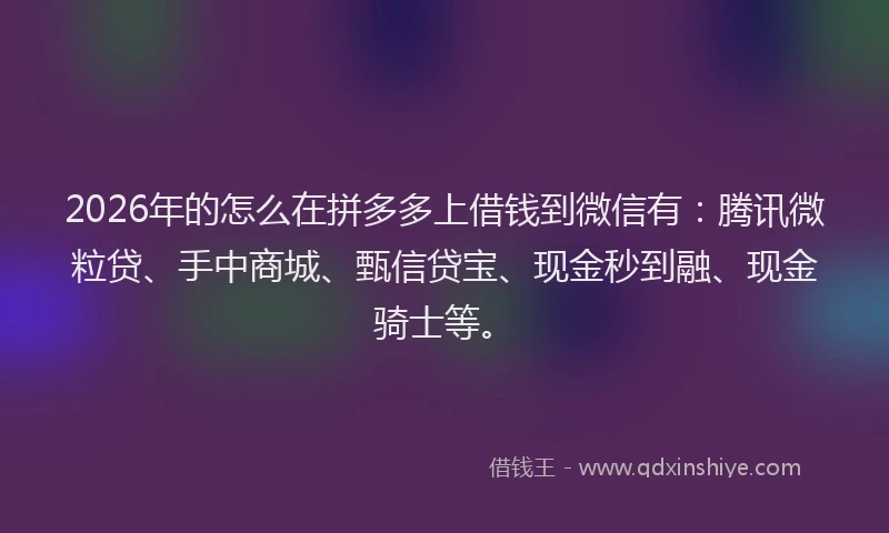 2026年的怎么在拼多多上借钱到微信有：腾讯微粒贷、手中商城、甄信贷宝、现金秒到融、现金骑士等。