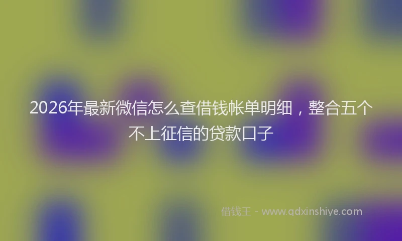 2026年最新微信怎么查借钱帐单明细，整合五个不上征信的贷款口子