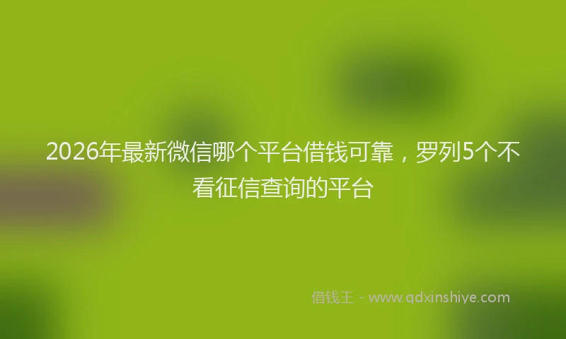 2026年最新微信哪个平台借钱可靠，罗列5个不看征信查询的平台