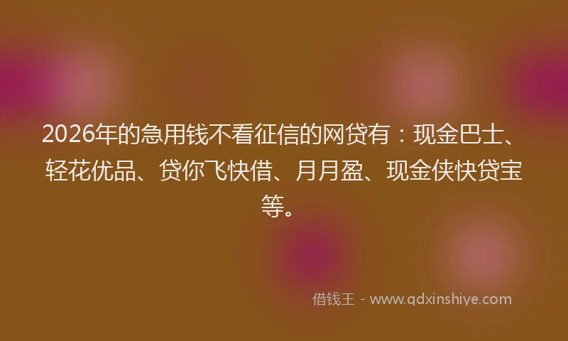 2026年的急用钱不看征信的网贷有:现金巴士、轻花优品、贷你飞快借、月月盈、现金侠快贷宝等。