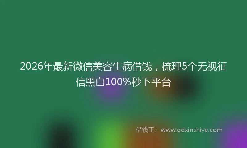 2026年最新微信美容生病借钱，梳理5个无视征信黑白100%秒下平台