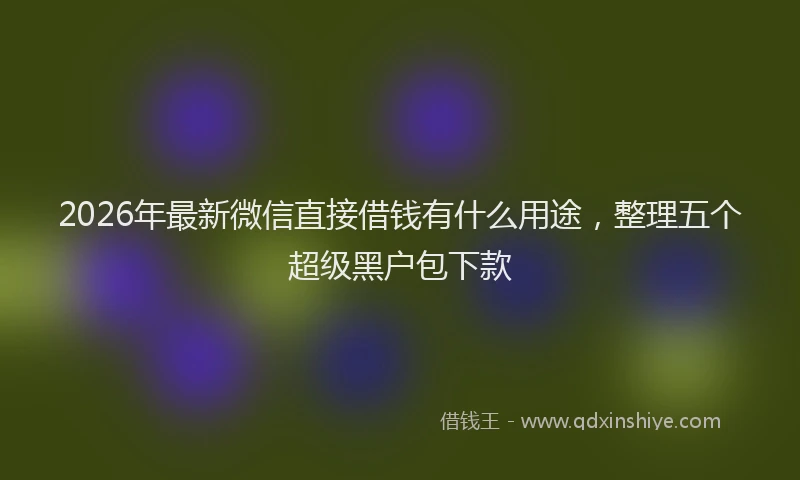 2026年最新微信直接借钱有什么用途，整理五个超级黑户包下款