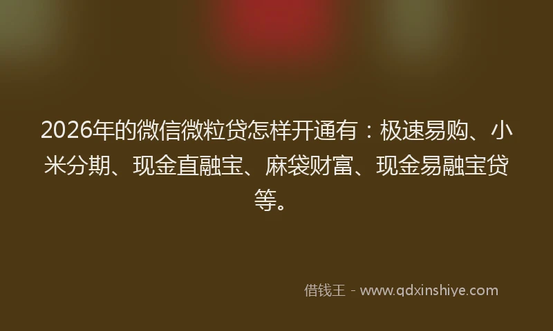 2026年的微信微粒贷怎样开通有：极速易购、小米分期、现金直融宝、麻袋财富、现金易融宝贷等。