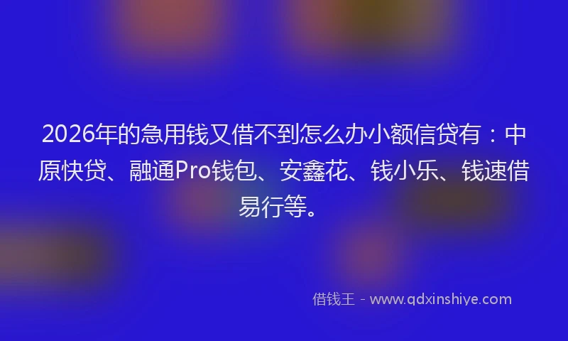 2026年的急用钱又借不到怎么办小额信贷有:中原快贷、融通Pro钱包、安鑫花、钱小乐、钱速借易行等。
