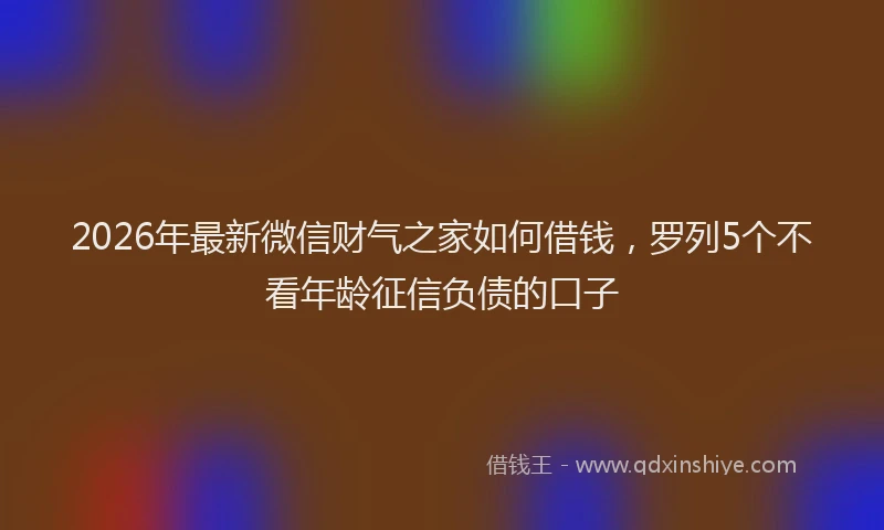 2026年最新微信财气之家如何借钱，罗列5个不看年龄征信负债的口子