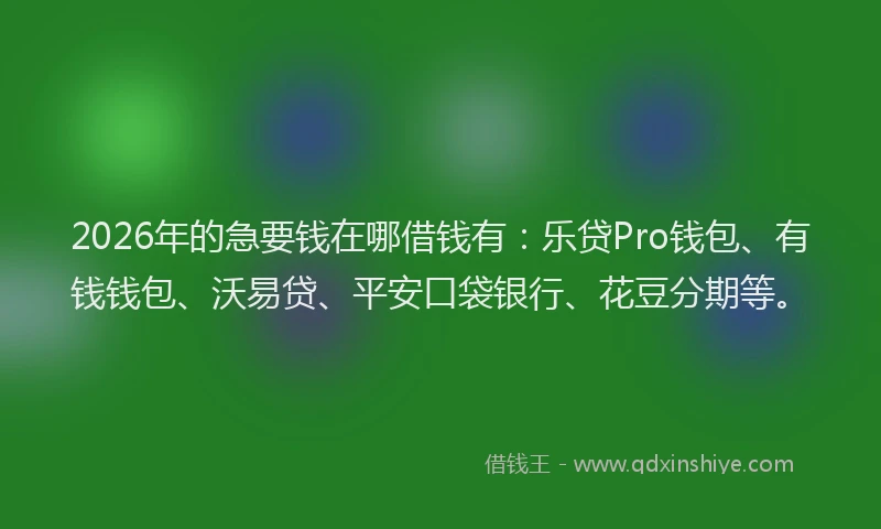 2026年的急要钱在哪借钱有：乐贷Pro钱包、有钱钱包、沃易贷、平安口袋银行、花豆分期等。