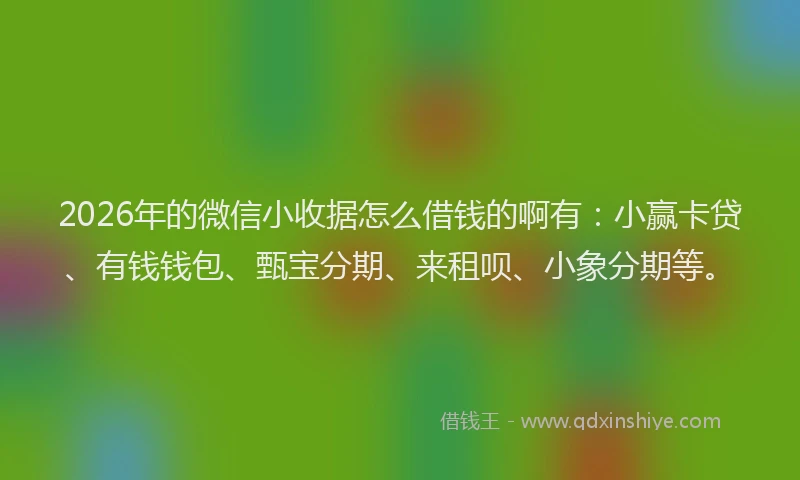 2026年的微信小收据怎么借钱的啊有：小赢卡贷、有钱钱包、甄宝分期、来租呗、小象分期等。