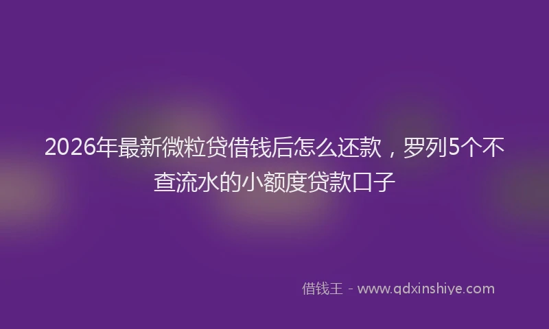 2026年最新微粒贷借钱后怎么还款，罗列5个不查流水的小额度贷款口子