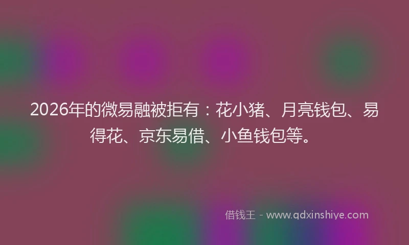 2026年的微易融被拒有：花小猪、月亮钱包、易得花、京东易借、小鱼钱包等。