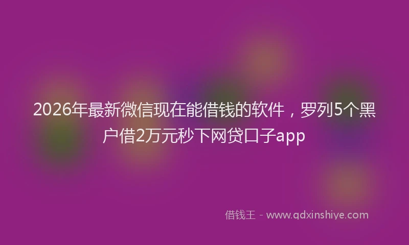 2026年最新微信现在能借钱的软件，罗列5个黑户借2万元秒下网贷口子app