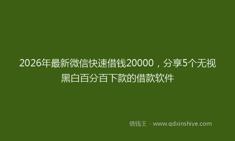 2026年最新微信快速借钱20000，分享5个无视黑白百分百下款的借款软件