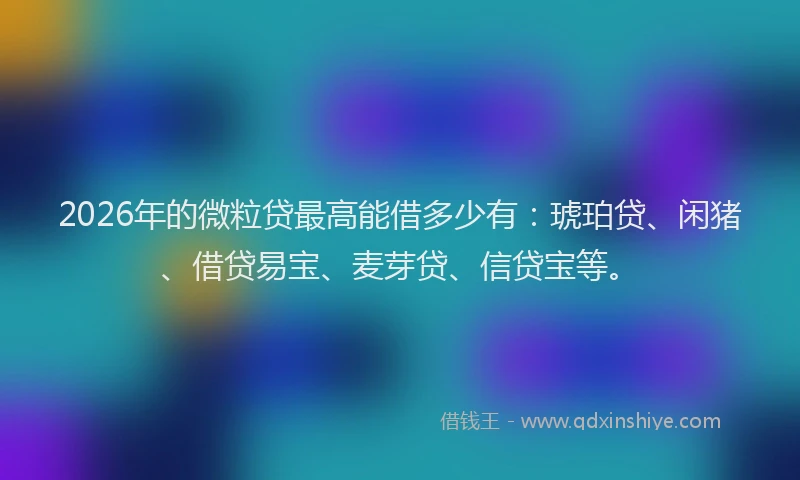 2026年的微粒贷最高能借多少有：琥珀贷、闲猪、借贷易宝、麦芽贷、信贷宝等。
