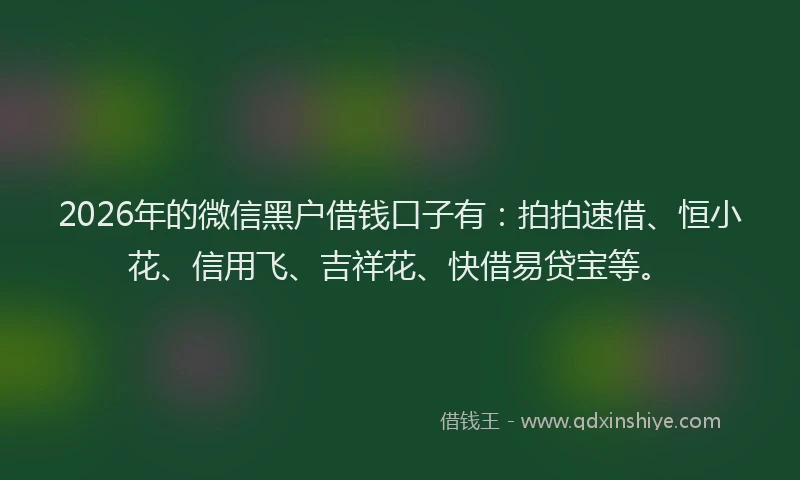 2026年的微信黑户借钱口子有：拍拍速借、恒小花、信用飞、吉祥花、快借易贷宝等。