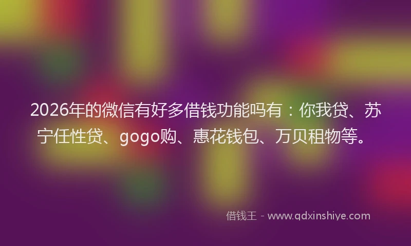 2026年的微信有好多借钱功能吗有：你我贷、苏宁任性贷、gogo购、惠花钱包、万贝租物等。