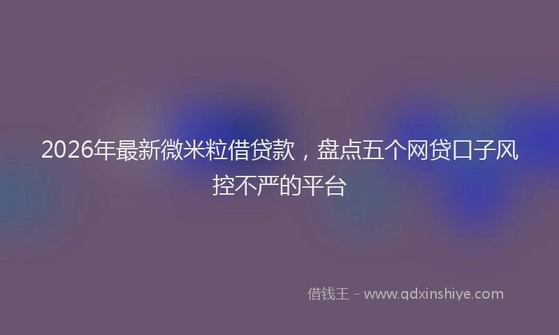 2026年最新微米粒借贷款，盘点五个网贷口子风控不严的平台