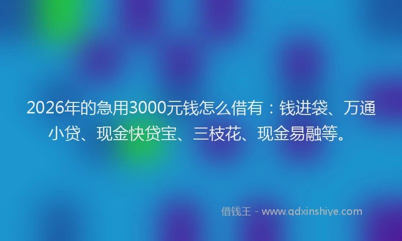 2026年的急用3000元钱怎么借有:钱进袋、万通小贷、现金快贷宝、三枝花、现金易融等。
