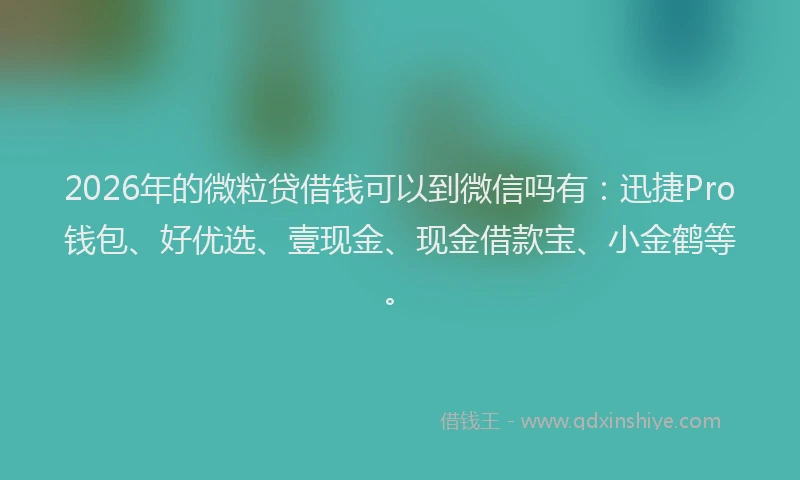 2026年的微粒贷借钱可以到微信吗有：迅捷Pro钱包、好优选、壹现金、现金借款宝、小金鹤等。