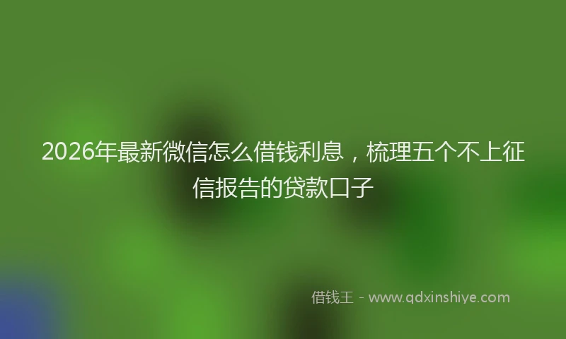 2026年最新微信怎么借钱利息，梳理五个不上征信报告的贷款口子