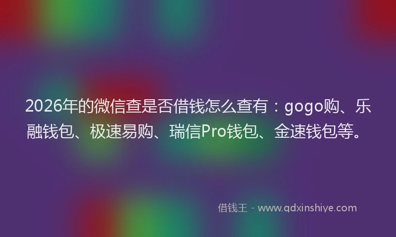 2026年的微信查是否借钱怎么查有：gogo购、乐融钱包、极速易购、瑞信Pro钱包、金速钱包等。