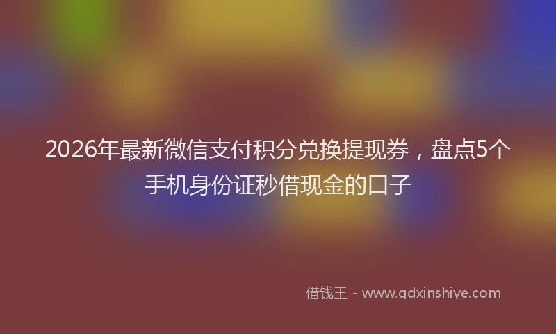 2026年最新微信支付积分兑换提现券，盘点5个手机身份证秒借现金的口子