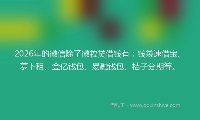 2026年的微信除了微粒贷借钱有：钱袋速借宝、萝卜租、金亿钱包、易融钱包、桔子分期等。