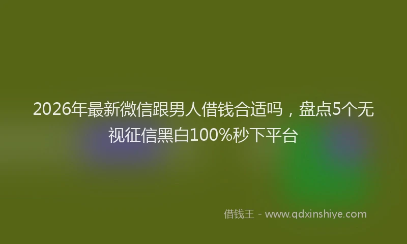 2026年最新微信跟男人借钱合适吗，盘点5个无视征信黑白100%秒下平台