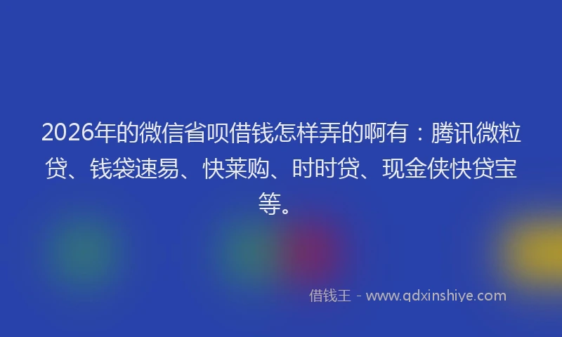 2026年的微信省呗借钱怎样弄的啊有：腾讯微粒贷、钱袋速易、快莱购、时时贷、现金侠快贷宝等。