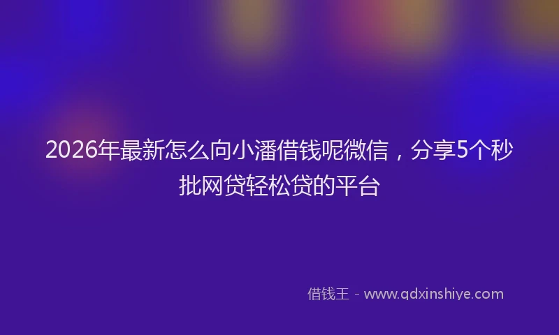 2026年最新怎么向小潘借钱呢微信，分享5个秒批网贷轻松贷的平台