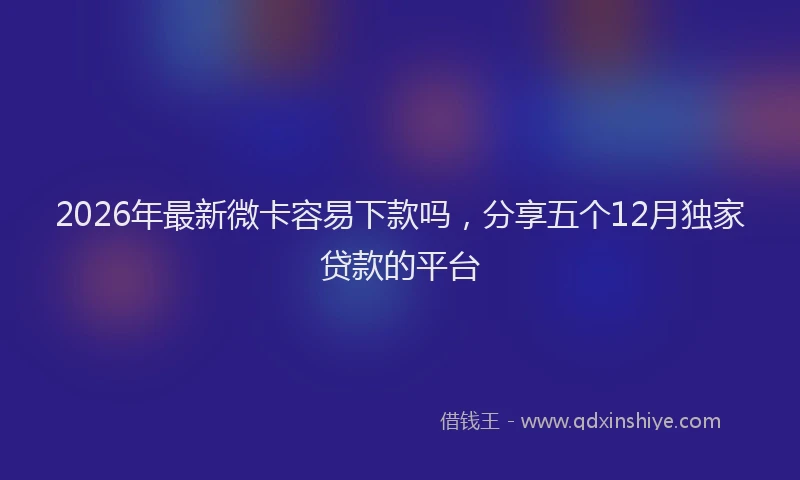 2026年最新微卡容易下款吗，分享五个12月独家贷款的平台
