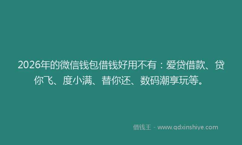 2026年的微信钱包借钱好用不有：爱贷借款、贷你飞、度小满、替你还、数码潮享玩等。