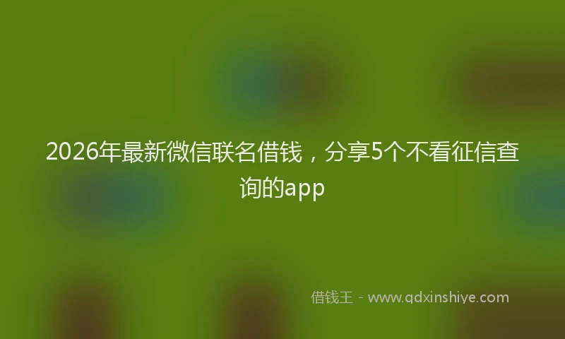 2026年最新微信联名借钱，分享5个不看征信查询的app