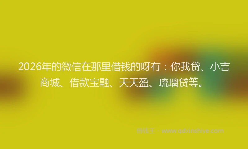 2026年的微信在那里借钱的呀有：你我贷、小吉商城、借款宝融、天天盈、琉璃贷等。