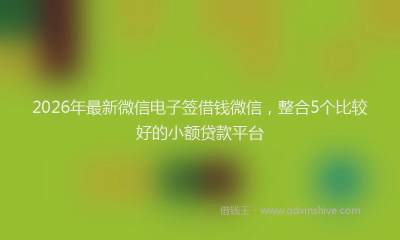 2026年最新微信电子签借钱微信，整合5个比较好的小额贷款平台