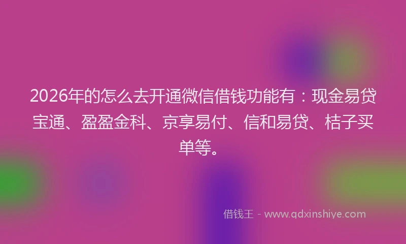2026年的怎么去开通微信借钱功能有:现金易贷宝通、盈盈金科、京享易付、信和易贷、桔子买单等。
