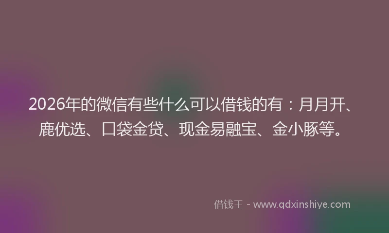 2026年的微信有些什么可以借钱的有：月月开、鹿优选、口袋金贷、现金易融宝、金小豚等。